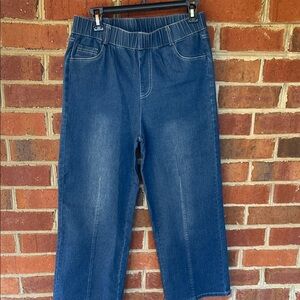 Women's Blue Flare & Wide Leg gaucho jeans